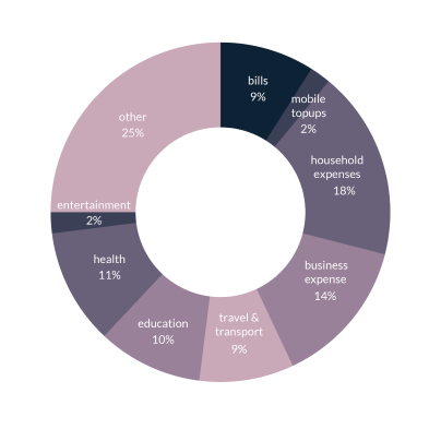 Donut chart showing major reasons people take loan using Tez Financial Services