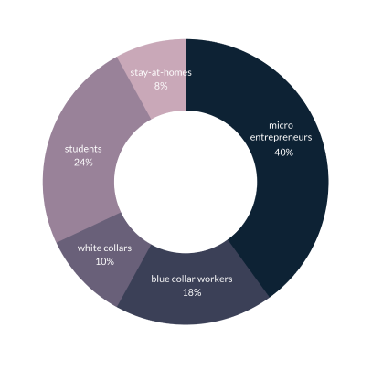 Donut chart showing which segments of society are Tez Financial Services users
